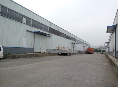 文星镇川齿路物流园区高台库出租 物联云仓助力智慧仓储新升级